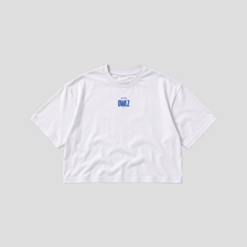 OWLZ STUDIOZ [GRAFFITI] BOXY TEE