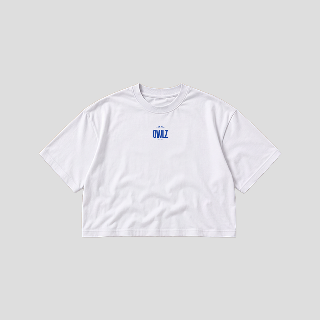 OWLZ STUDIOZ [GRAFFITI] BOXY TEE